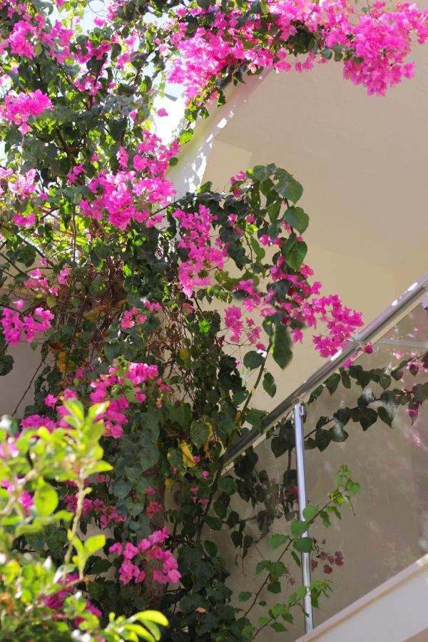 Acelya Otel Bodrum Екстериор снимка
